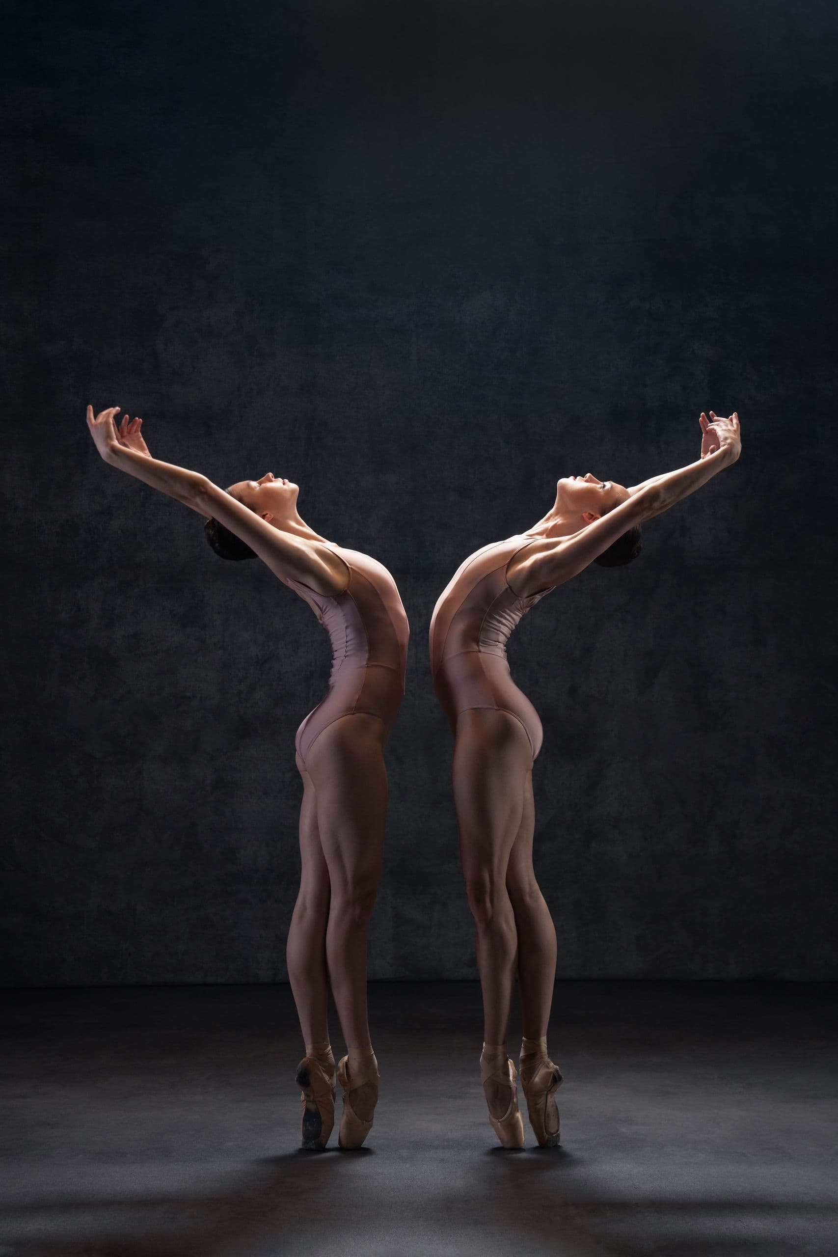 Two ballerinas in pale pink leotards stand on pointe with backs to the camera, arms raised in mirrored curves against a dark, textured backdrop.