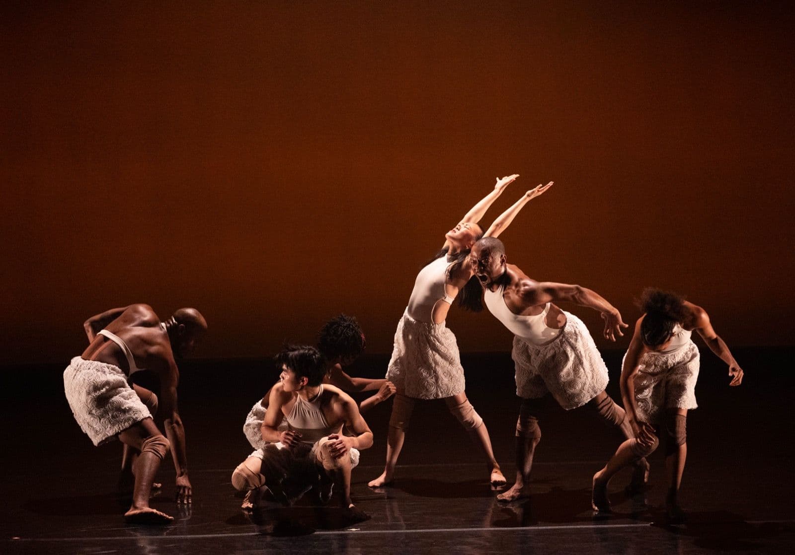 A ensemble of modern dancers performing expressive, dynamic movements against a warm, amber-lit backdrop.